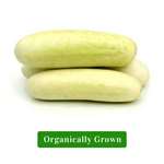 Organic Cucumber White/Organic Kheera Safed